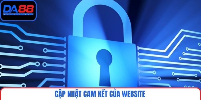 Cập nhật cam kết của website