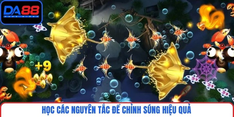 Học các nguyên tắc để chỉnh súng hiệu quả