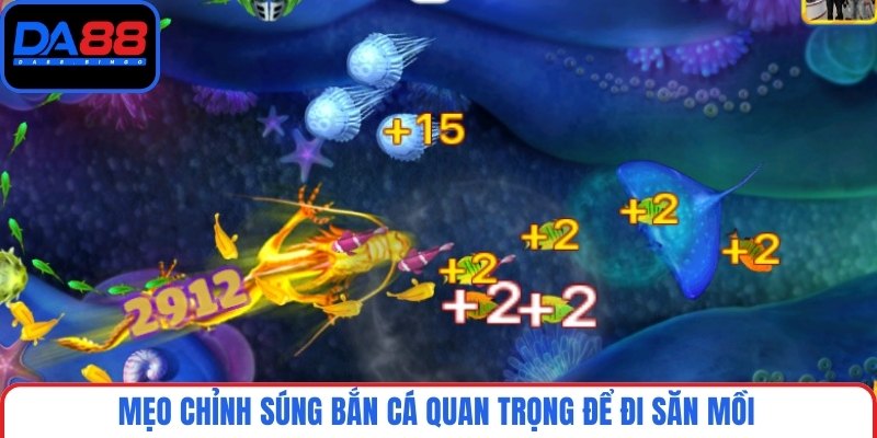 Mẹo chỉnh súng bắn cá quan trọng để đi săn mồi