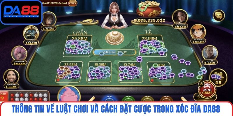 Một số cửa cược phổ biến cho bạn lựa chọn