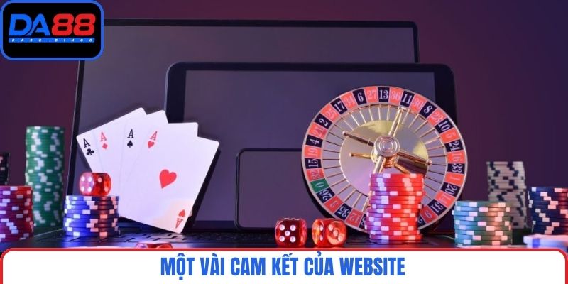 Một vài cam kết của website