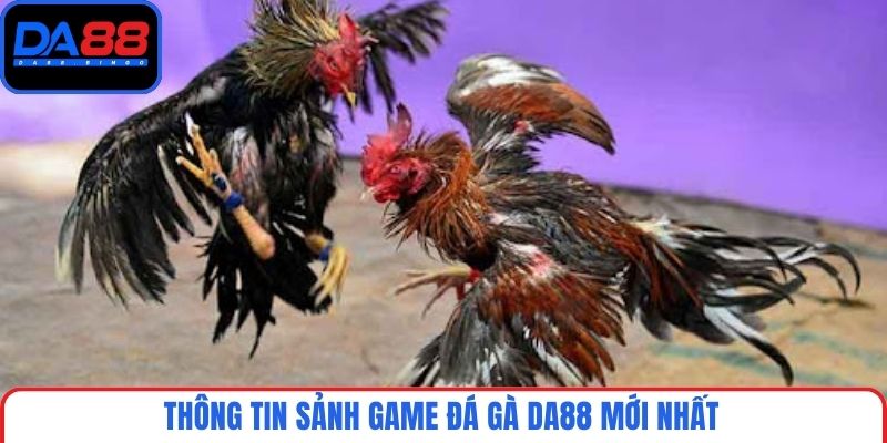 Thông tin sảnh game đá gà DA88 mới nhất