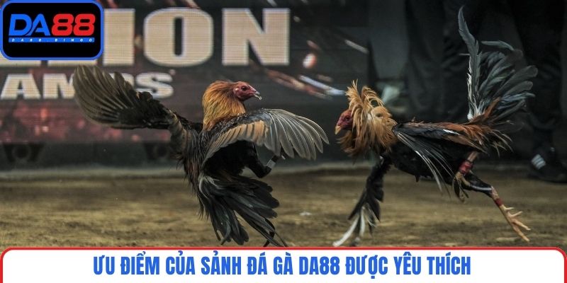 Ưu điểm của sảnh đá gà DA88 được yêu thích
